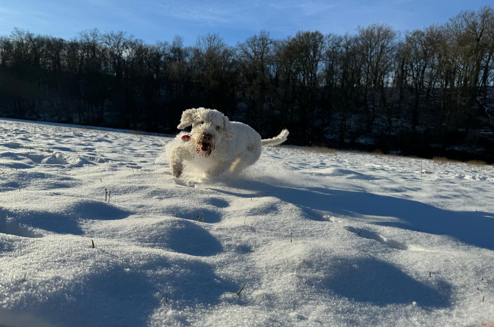 WhatsApp Bild 2025-04-11 um 21.48.34_16196a79