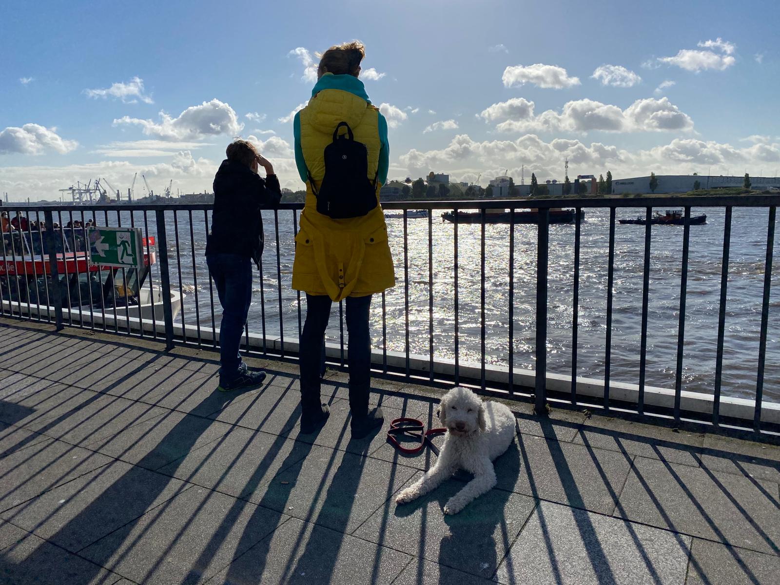 WhatsApp Bild 2025-04-11 um 21.48.34_3bc62687