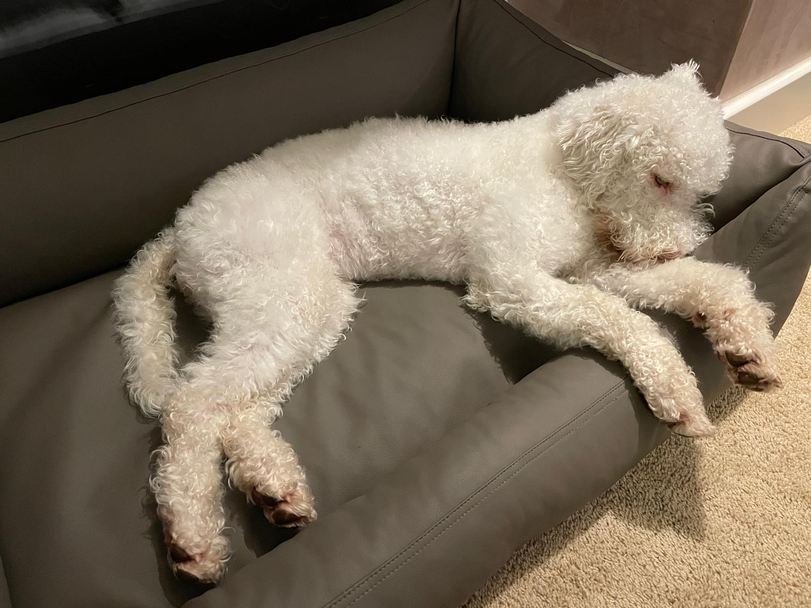 WhatsApp Bild 2025-04-11 um 21.48.34_ab7117bc