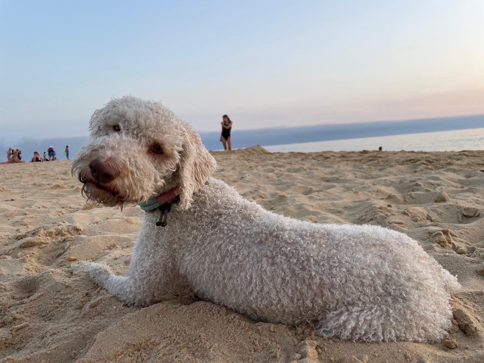 WhatsApp Bild 2025-04-11 um 21.48.34_d1f881e9